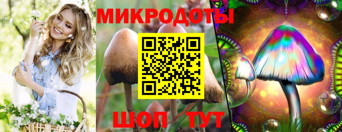 Полысаево  Галлюциногенные грибы мицелий  Псилоцибиновые грибы ЛСД  Вход с VPN 